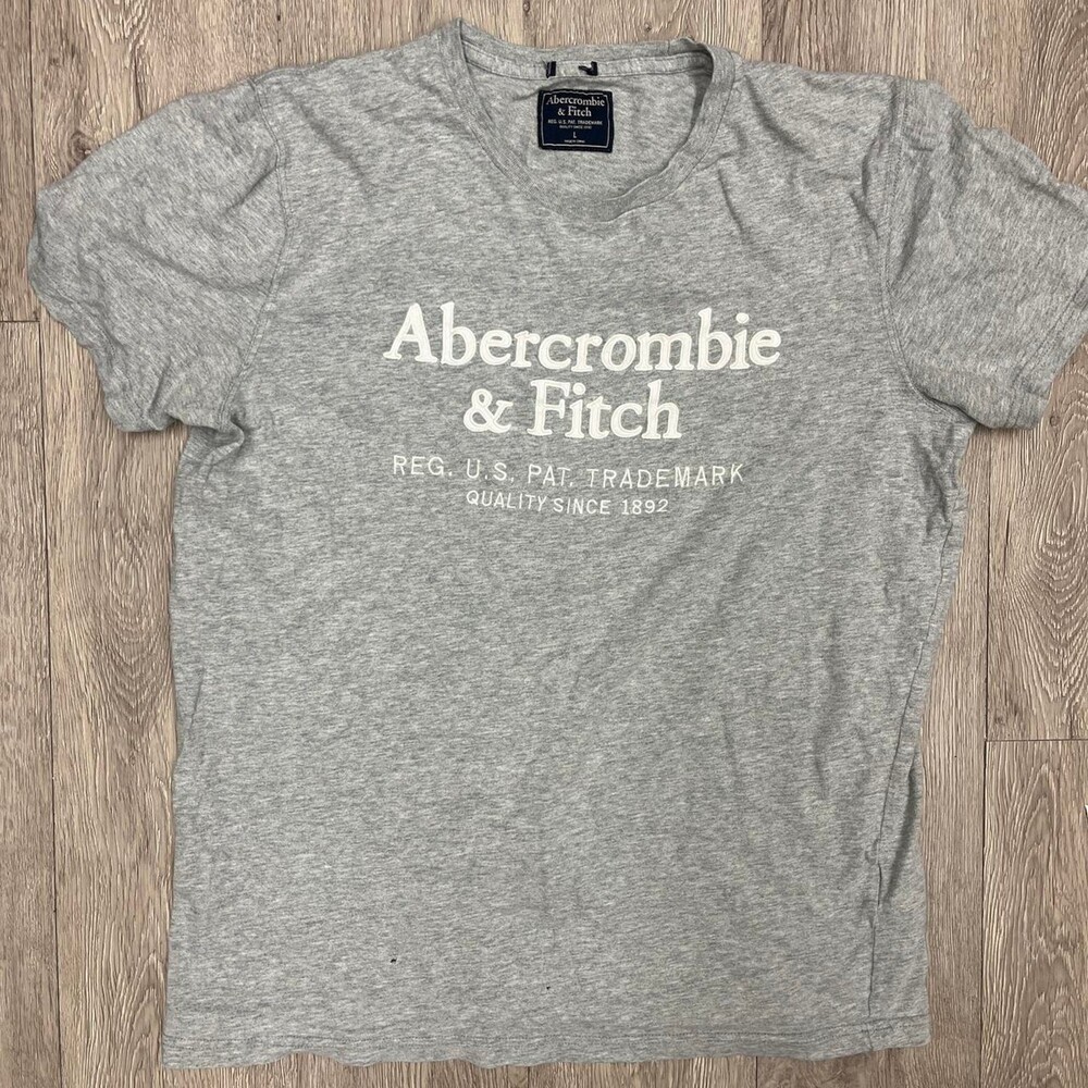 Abercrombie & Fitch grey t-shirt Size L  surf skate school embroidered
